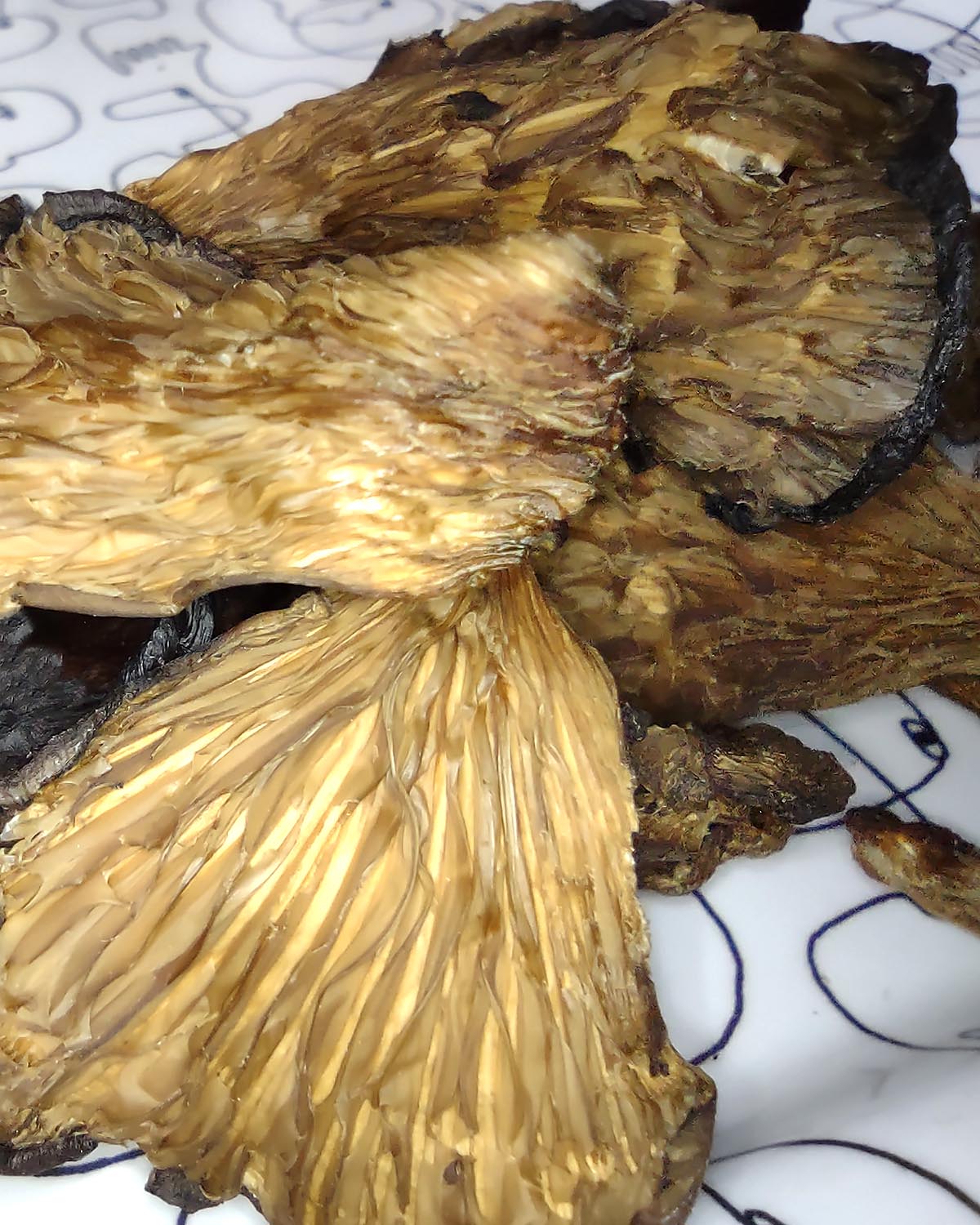 How To Best Store Oyster Mushrooms (with Dehydrating Instructions)
