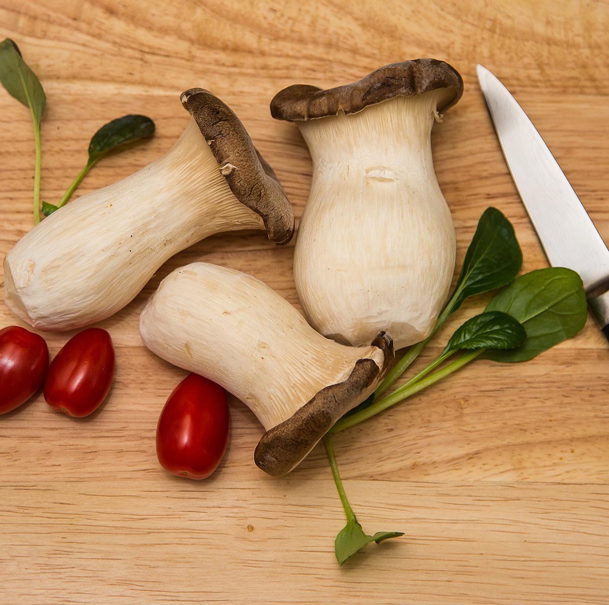 How To Best Store Oyster Mushrooms (with Dehydrating Instructions)